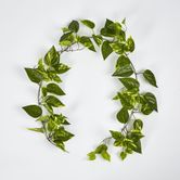 5ft Green Yellow Pothos Garland UV Protected