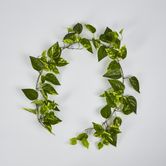 5ft Green Yellow Pothos Garland UV Protected