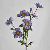 Light Purple Cosmos Spray by 3