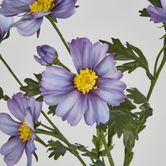 Light Purple Cosmos Spray by 3