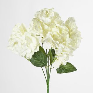 White Hydrangea Bush x 5