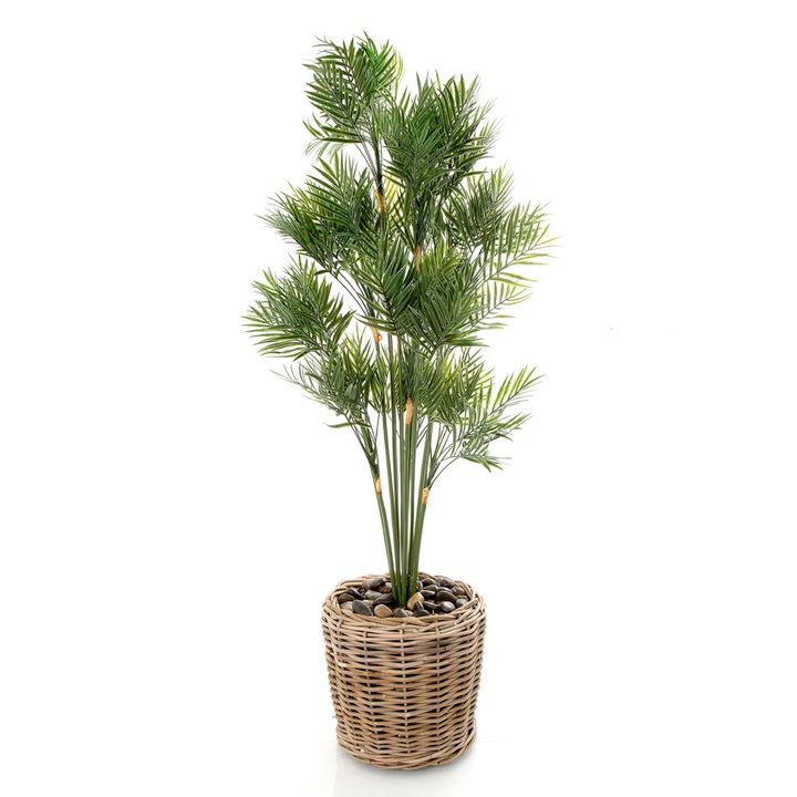 Parlour Palm in Rattan Basket 1.2m