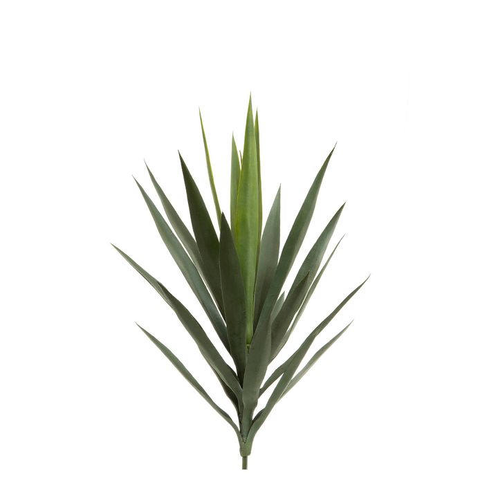 Yucca Head Green 64cm