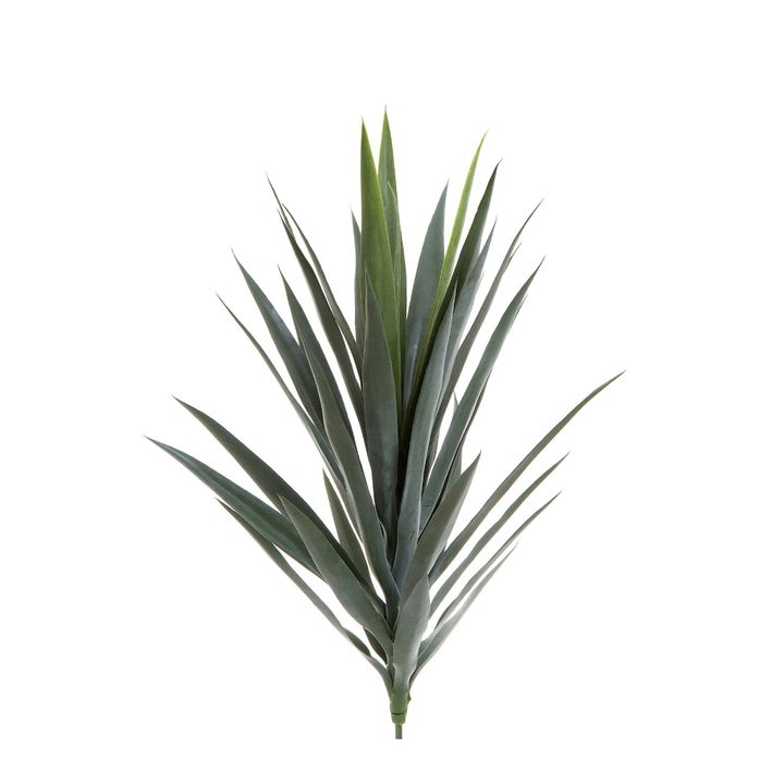 Yucca Head Green 78cm