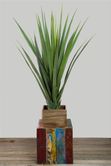 Pandanus Head Large 1.4m