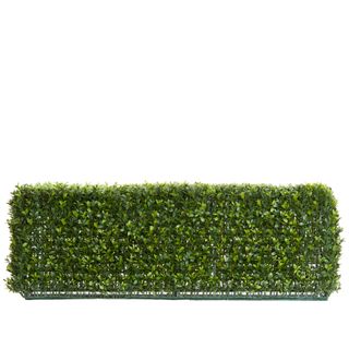 Boxwood Hedge 25x95cm