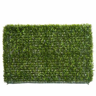 Boxwood Hedge 55x95cm