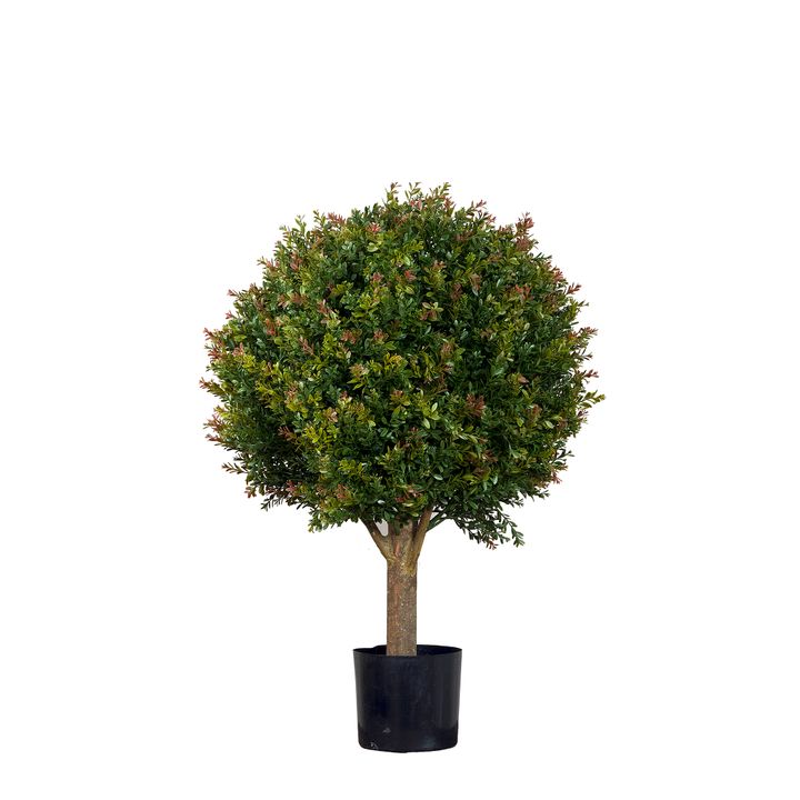 Red Day Leaf Ball Tree 85cm