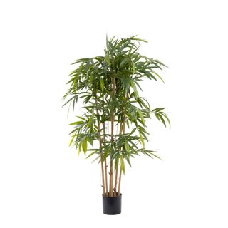 New Bamboo Tree 1.5m