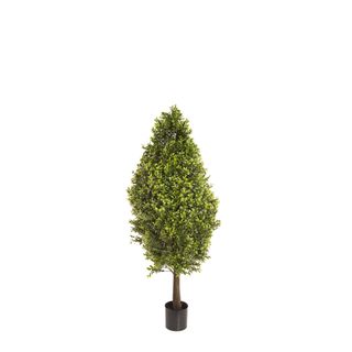 Boxwood Cone 90cm