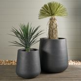 Tran Planter Set of 2 Black