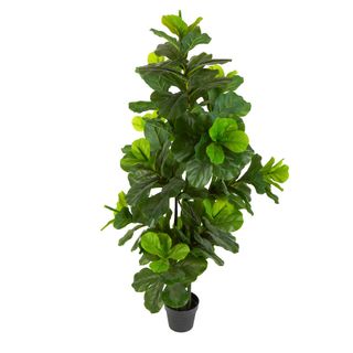 Fiddle Leaf Tree 175cm