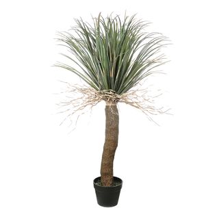 Grass Tree Small 1.1m