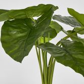 Potted Real Touch Philodendron 50cm