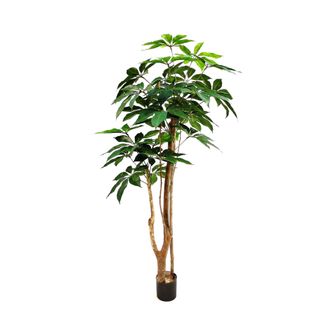 Umbrella Tree 150cm