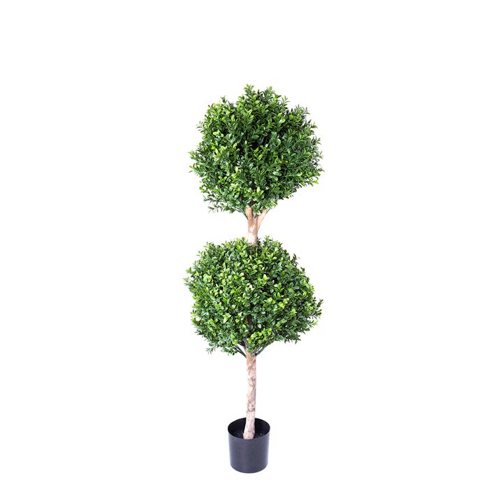 Boxwood Double Ball Tree 1.1m