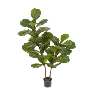 Fiddle Leaf Tree 1.13m