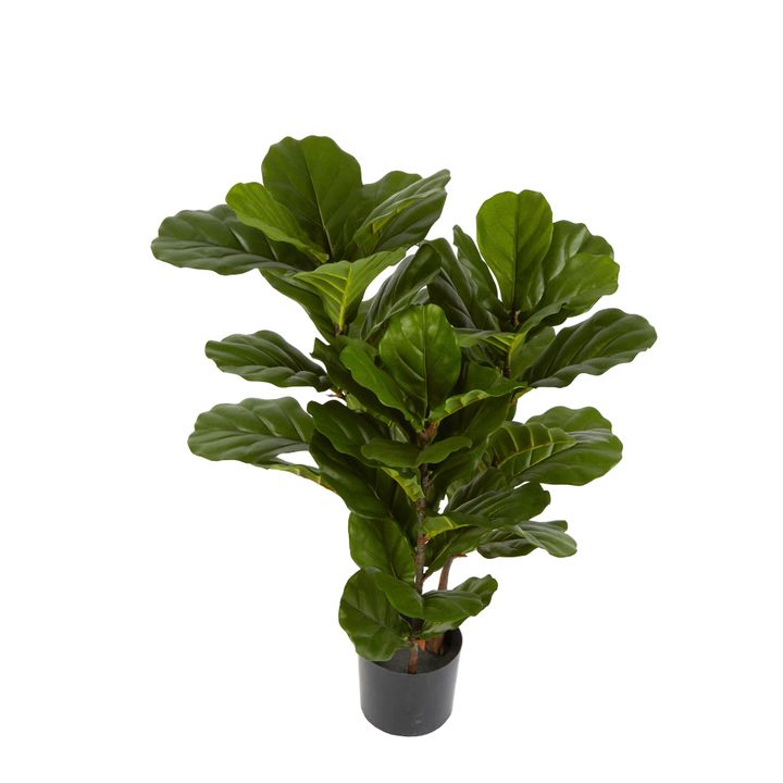 Fiddle Leaf Tree 93cm