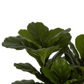 Fiddle Leaf Tree 93cm