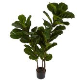 Fiddle Leaf Tree 1.33m