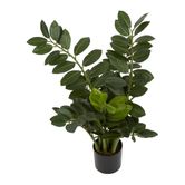 Smargago Potted Plant 66cm