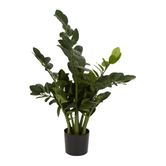 Smargago Potted Plant 66cm