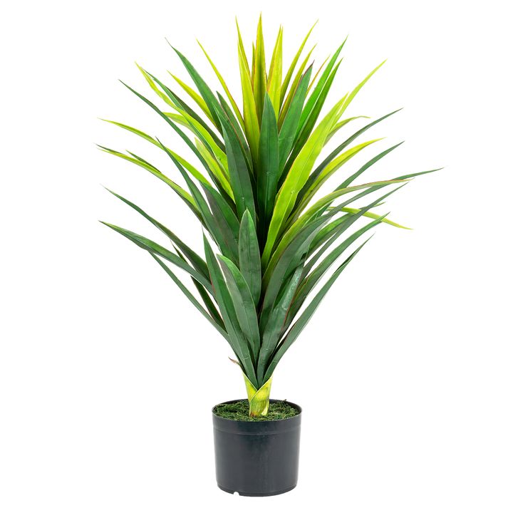 Yucca Plant in Pot 86cm