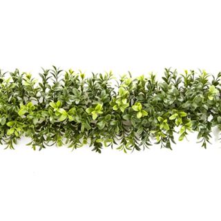 Boxwood Garland 1.8m