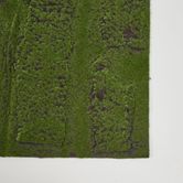 Moss Mat 1m*1m