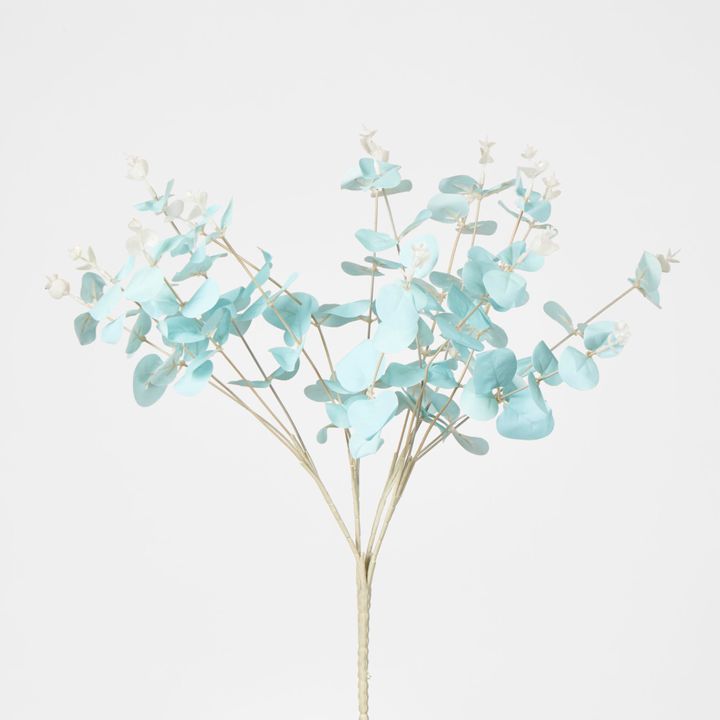 Light Baby Blue Eucalyptus Bush