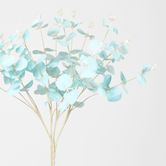 Light Baby Blue Eucalyptus Bush