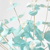 Light Baby Blue Eucalyptus Bush