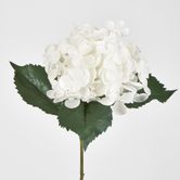 Single Hydrangea with 2 Leaves White 62CM