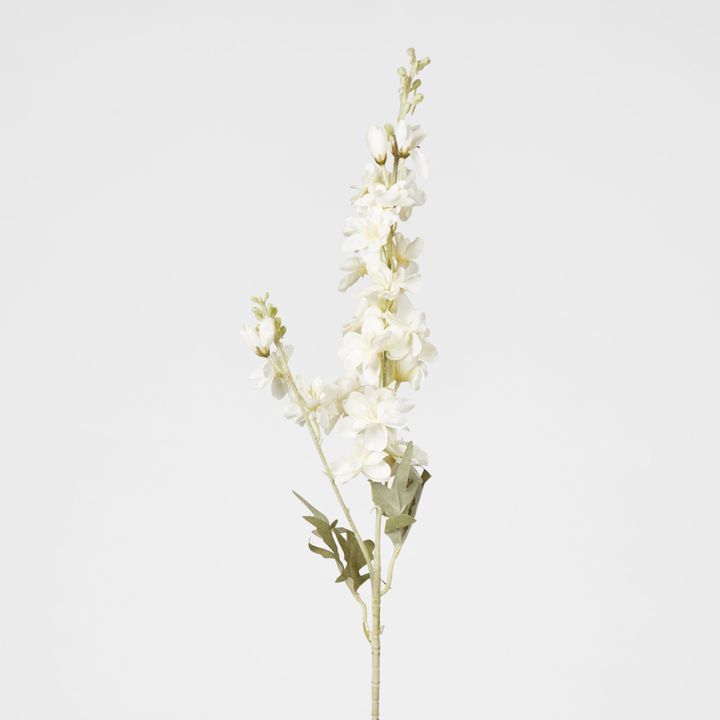 White Delphinium