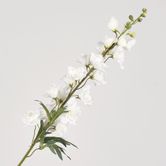 Delphinium Spray 91CM White