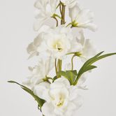 Delphinium Spray 91CM White