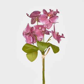 Fuchisa Pink Phalaenopsis Orchid Bouquet x 4 8 Flowers