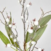 Leaf Spray Branch with Snow Berry