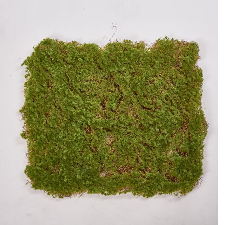 Moss Mat 50*50cm