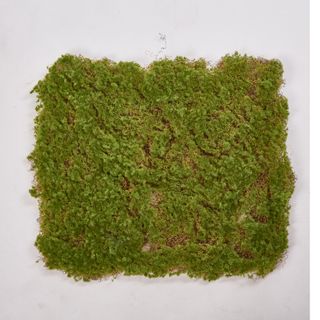 Moss Mat 50*50cm