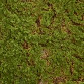 Moss Mat 50*50cm