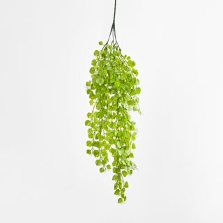 Hanging Greenery