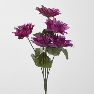 Gerbera Bush Sold in Box Qty Only