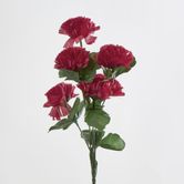 Carnation Bush Sold in Box Qty Only