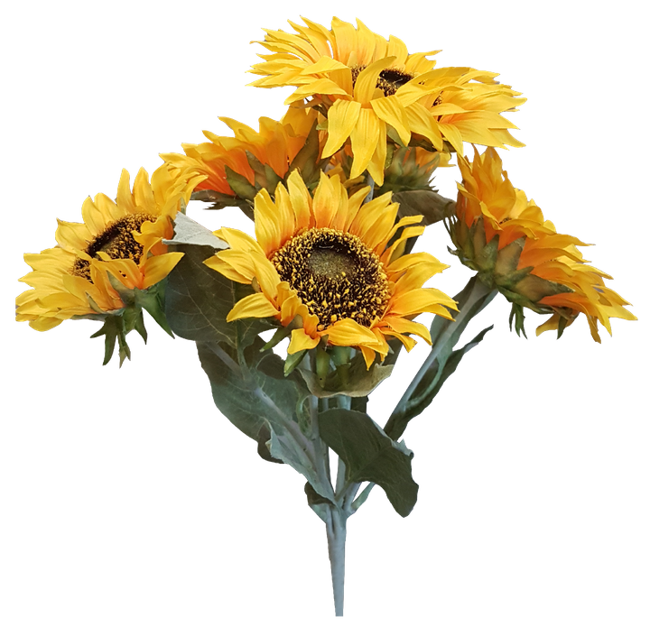 Yellow Sunflower Bush with 5 Flowers