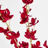 Red Dendrobium Spray