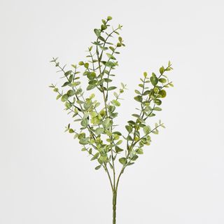 Green 65cm Eucalyptus Spray