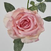 Pink Short Stem Queen Rose