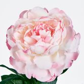 Single Peony with 4 Leaves Soft Pink 66CM