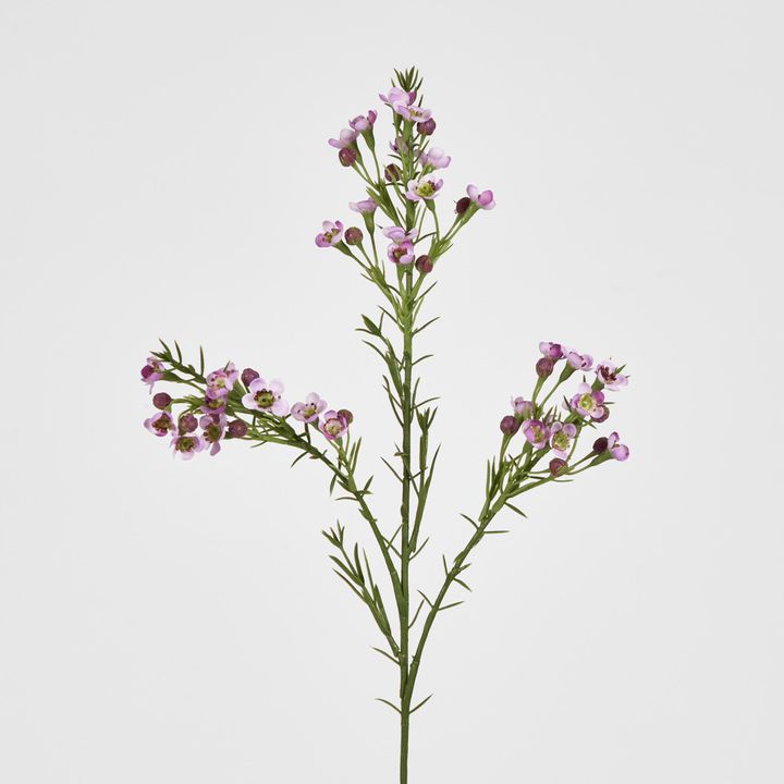 Wax Flower Lilac 64CM